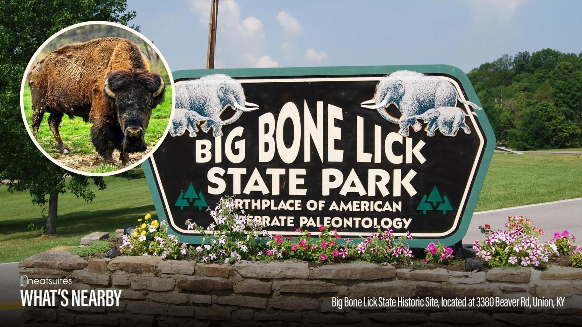 The Lodges At Eden Reserve - Pet Friendly Cabins Near Ark 威廉斯敦 外观 照片